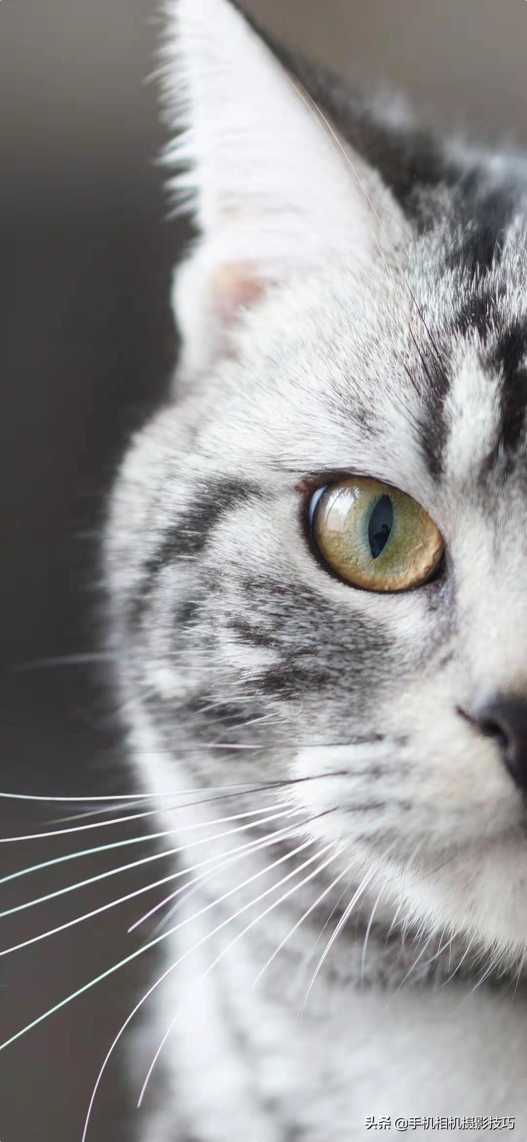 轻松拍摄漂亮照片四大法则构图篇,十种构图法拍的照片