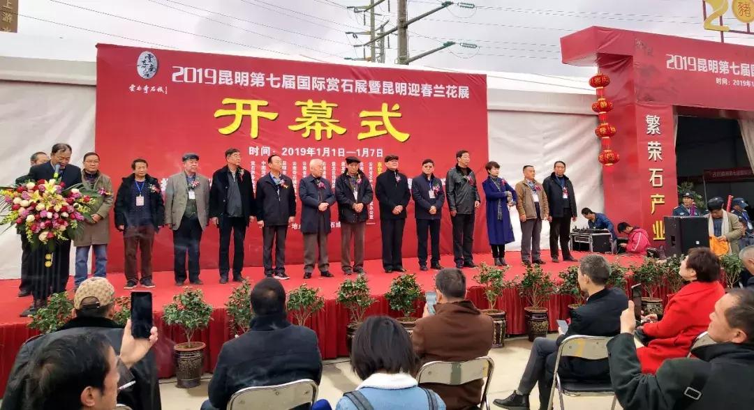 昆明第七届国际赏石展元旦启幕—黄龙玉水草花玉壶喜获金奖