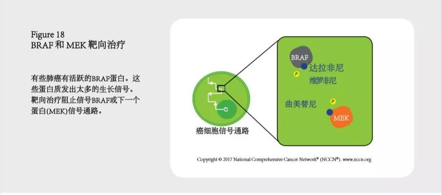肺癌诊疗计划书,肺癌诊疗指南书籍