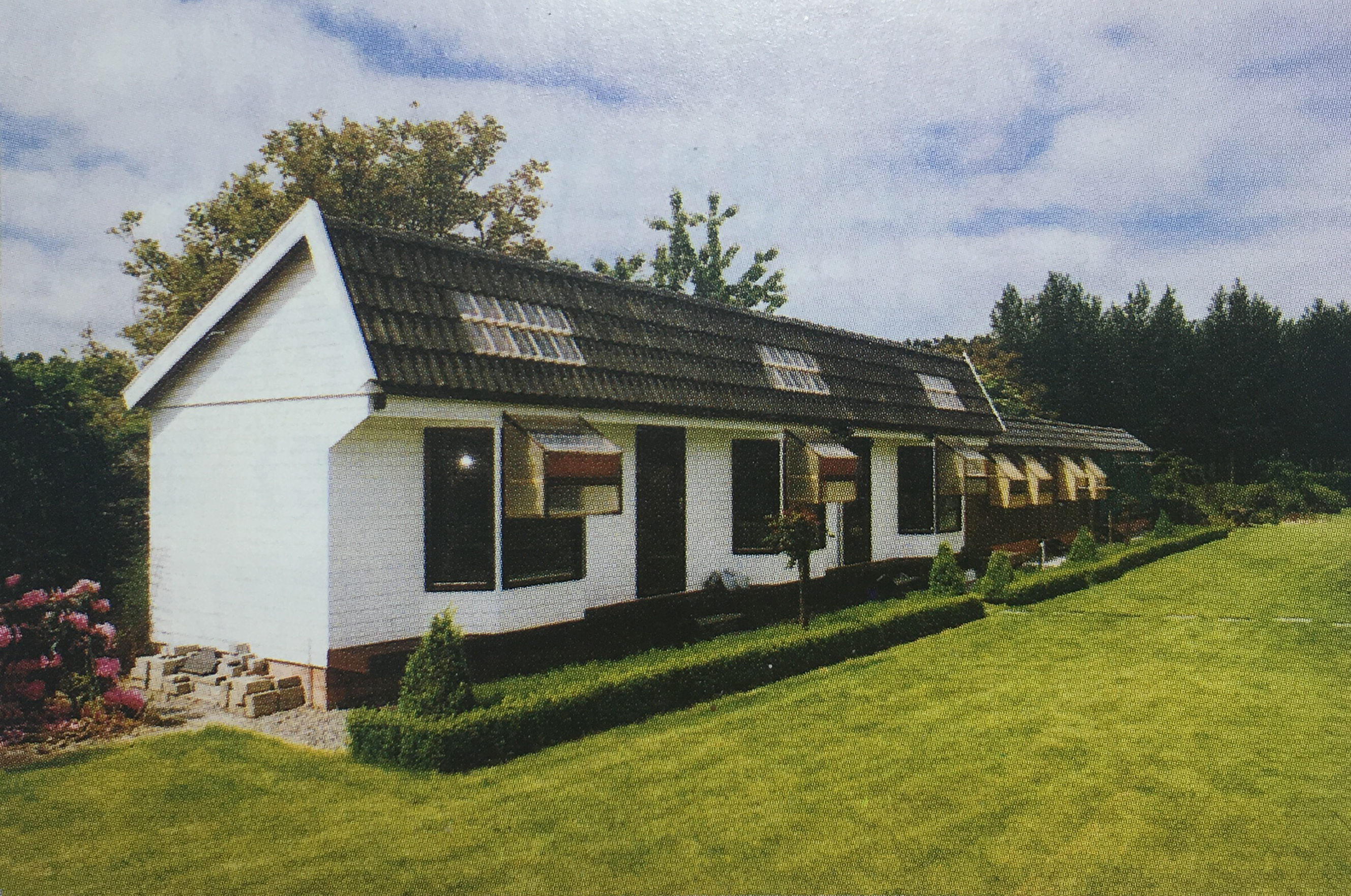 幼鸽育雏管理,幼鸽管理