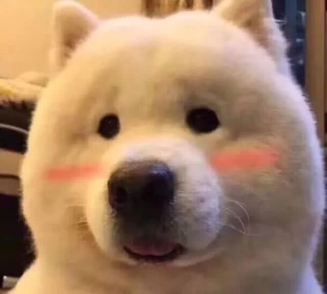 素颜霜普通人真实测评,十几块钱素颜霜真的好用吗