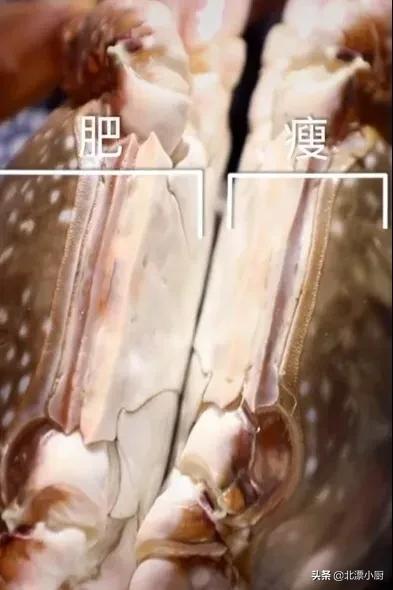 秋后的梭子蟹顶盖肥,梭子蟹顶盖肥好吗