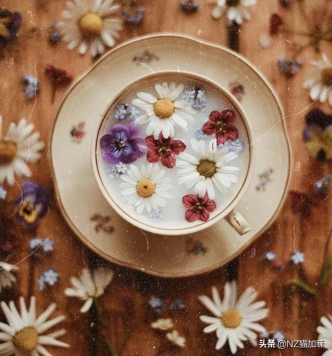 财富故事大全讲解,财富大有可为的小故事