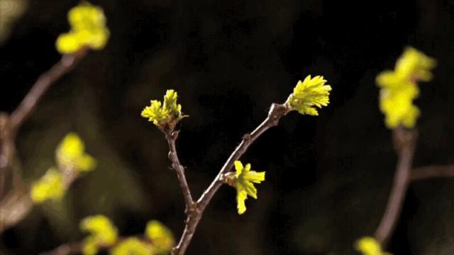 汉中周边踏青的好地方有哪些,汉中乡村游秘境