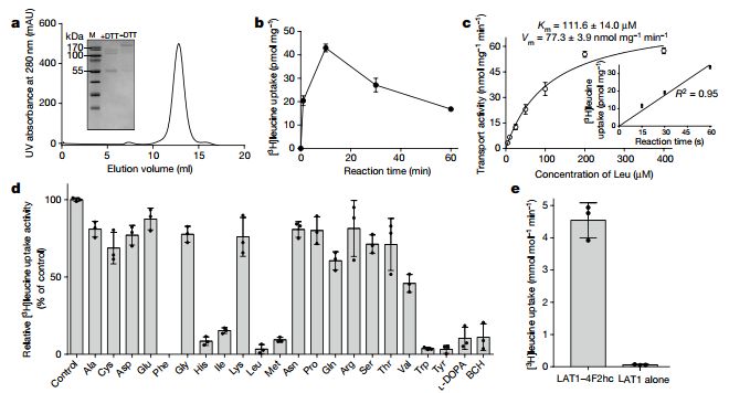 中国冷冻电镜技术进展,冷冻电镜最新研究