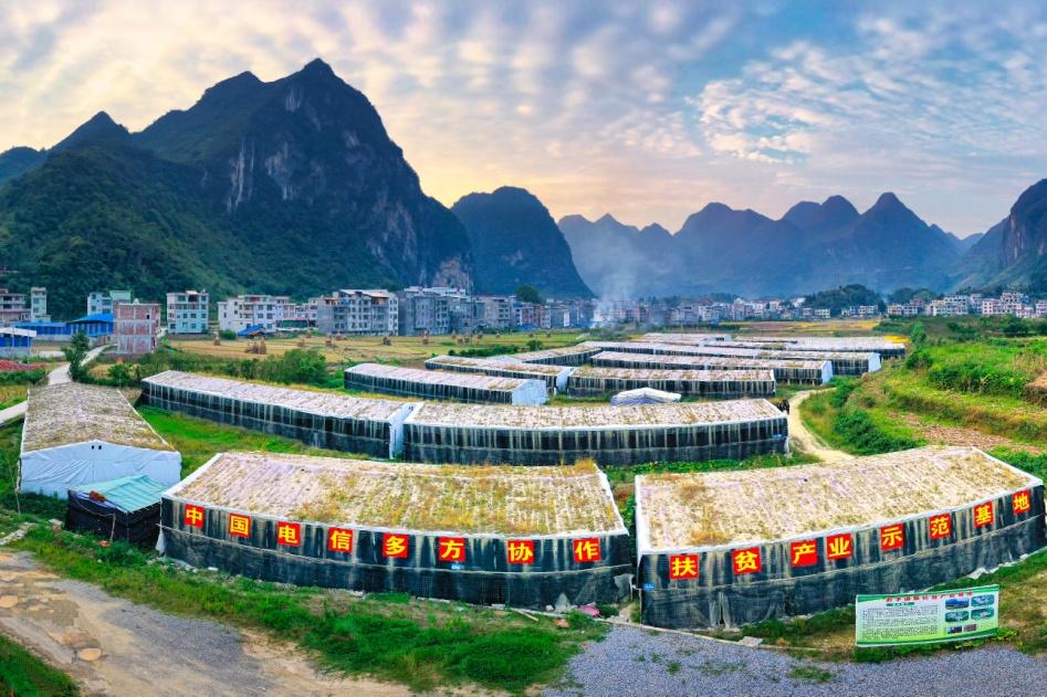 世界各国点评中国,国外专家犀利评价中国