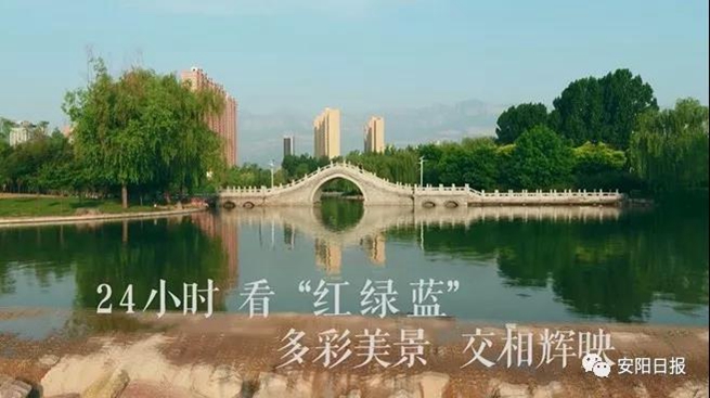 安阳一天24小时发生的事,一天24小时发生了哪些事