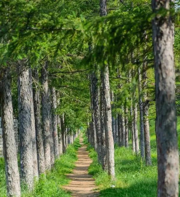 说说吉林省长春市的南湖公园……