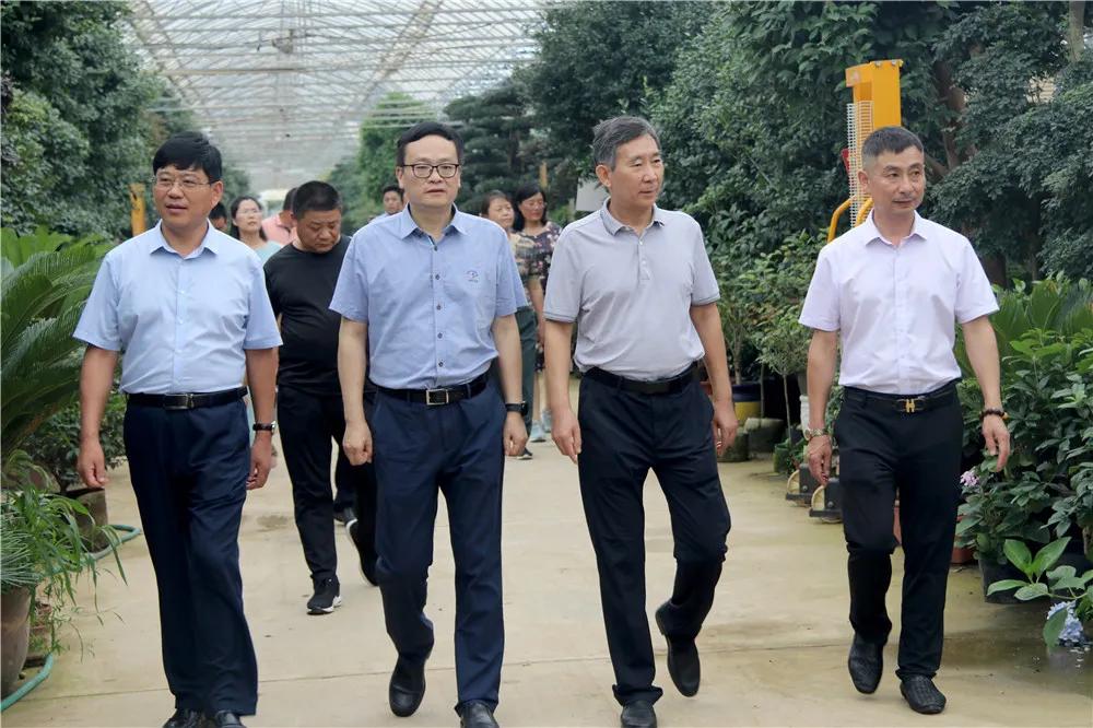 中国沭阳国际花木城在哪个城市,沭阳花木城的发展