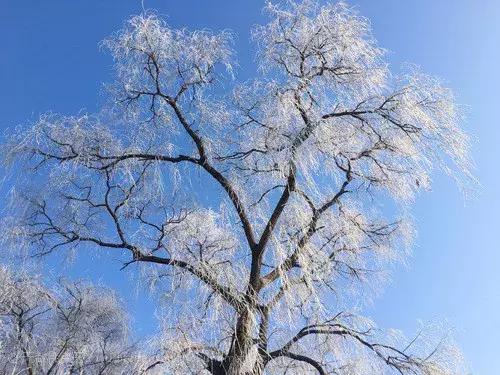 开眼｜为你揭秘“火华社长”代言的“冬之景”！