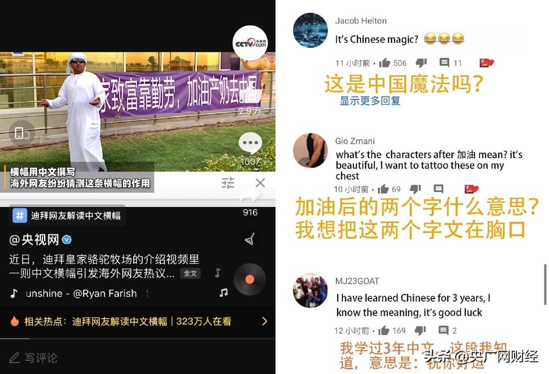 “加油产奶去中国！”迪拜皇室骆驼为双11加班，在天猫国际备货160万升奶