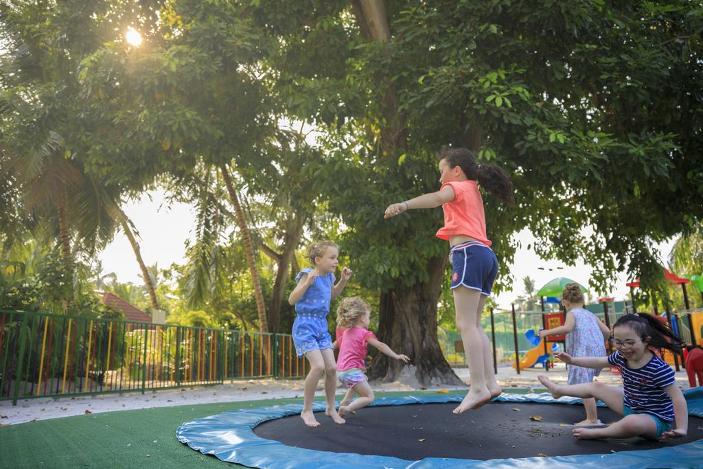马尔代夫岛旅游攻略,椰子岛旅游攻略一日游景点