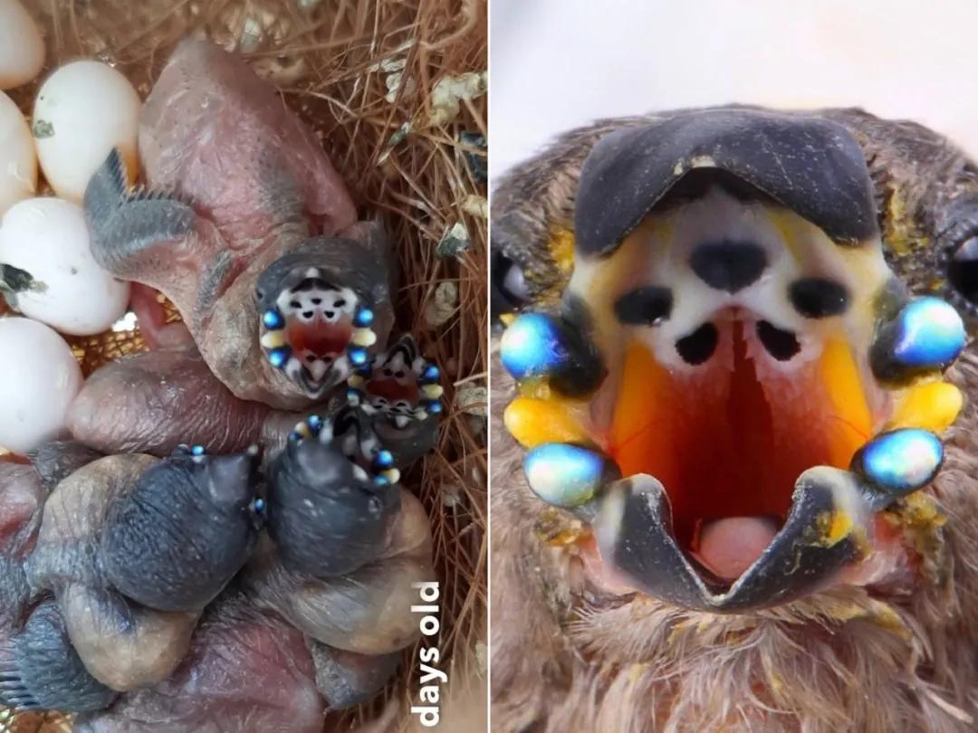 全身发抖照片,浑身发抖的图片