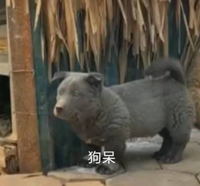 绿茶女是怎么吸引异性的,绿茶婊为什么招男生喜欢