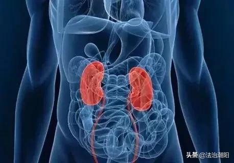 看看*品毒**是怎样摧残你的身体的!