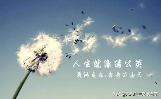 人生的命运就如此的残酷,我的人生就这样完了