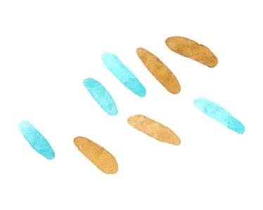 真皮沙发可以用蒸汽清洗么,真皮沙发上的水彩笔怎么清洗