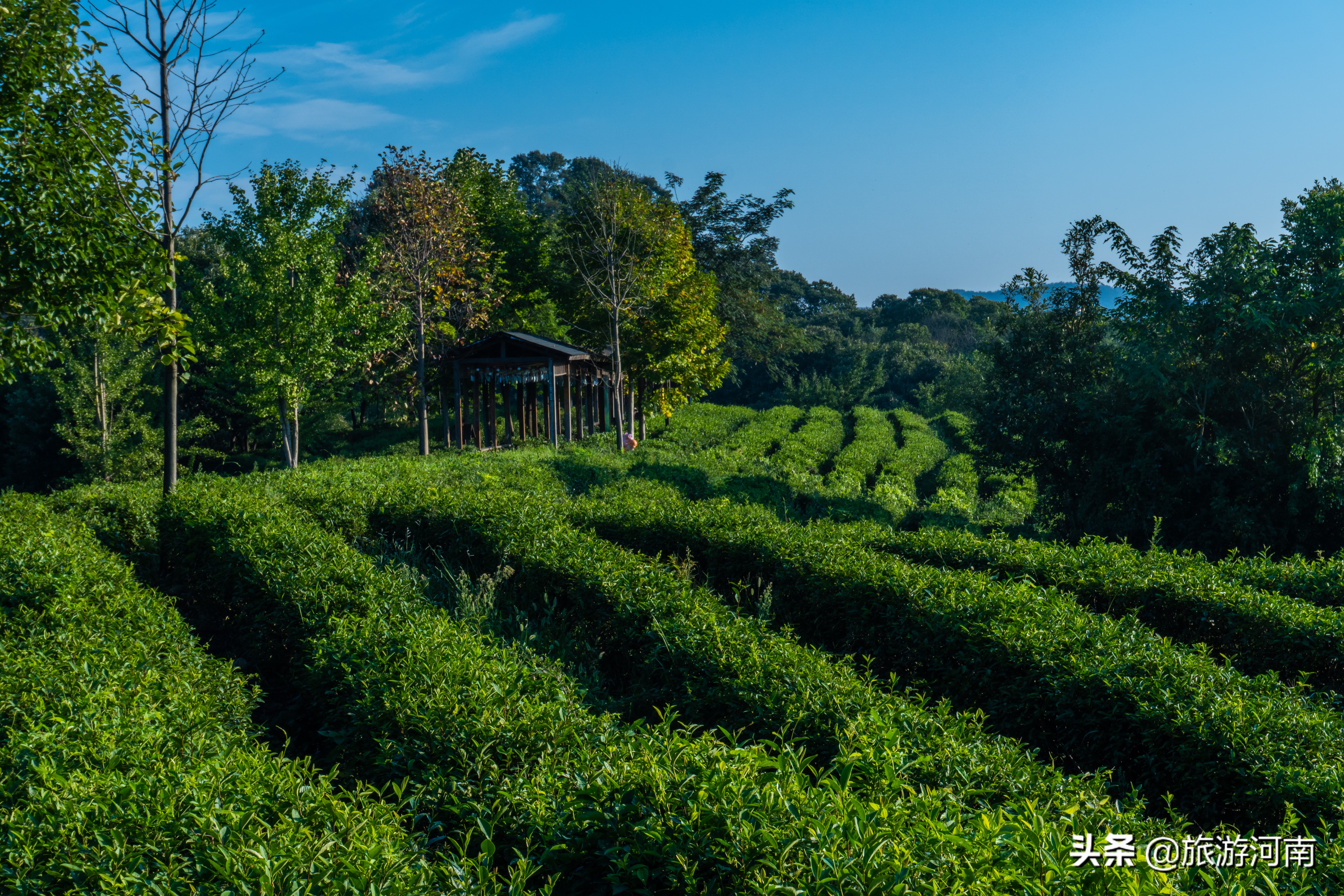 信阳市南湾湖有哪些好玩的,信阳南湾湖主要景点