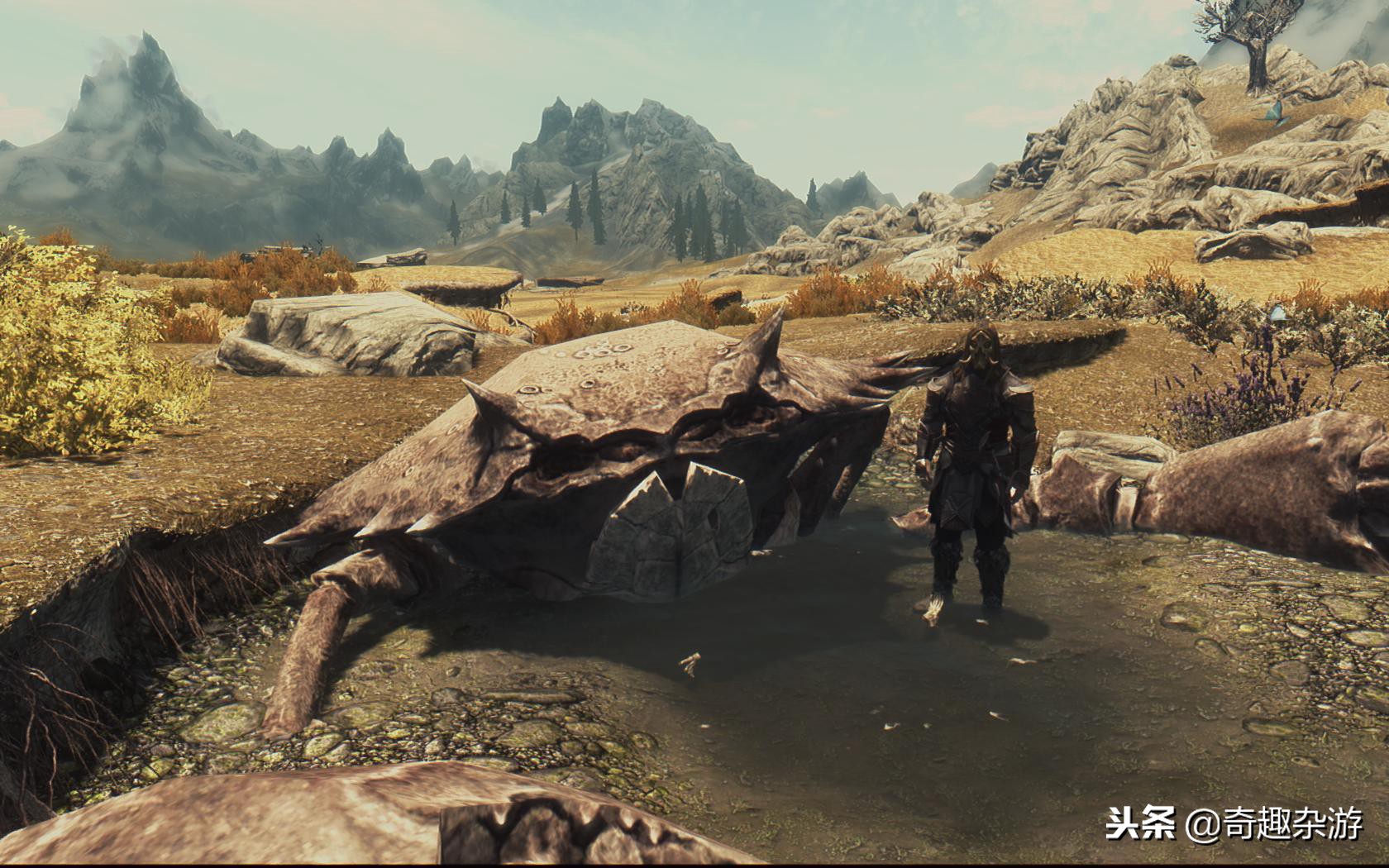 上古卷轴5天际评测,上古卷轴5天际特色