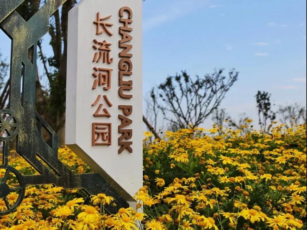 青白江十大健身地,青白江区体育锻炼的地方