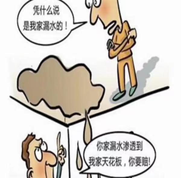 民法典楼上漏水楼下受损怎么维权,楼上漏水造成楼下损失的法律判例