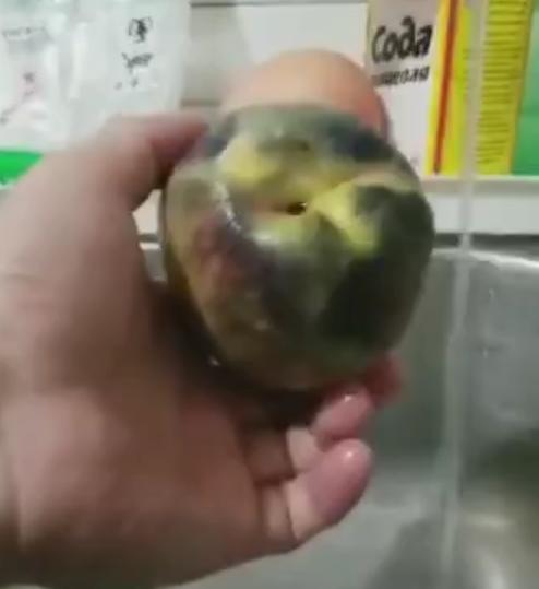 为什么用食用碱洗桃子变绿了,用碱面洗桃子变黑了还能吃吗