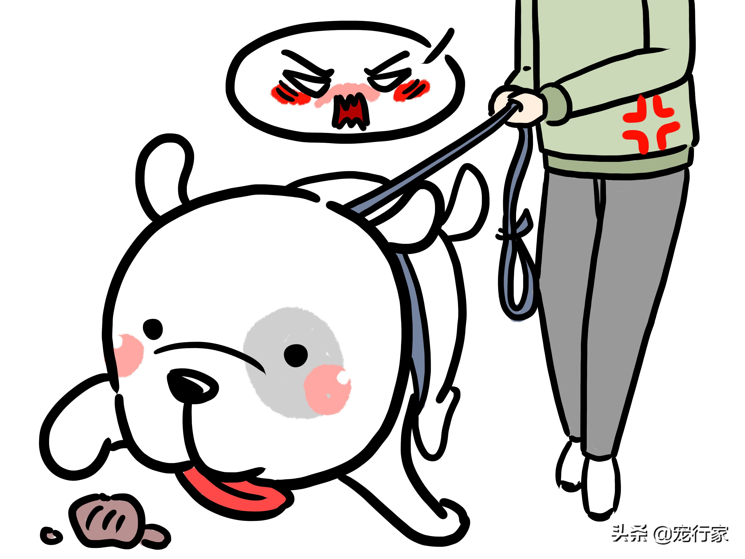 狗狗换粮拉稀还要继续换粮吗,狗狗换粮拉肚子持续几天