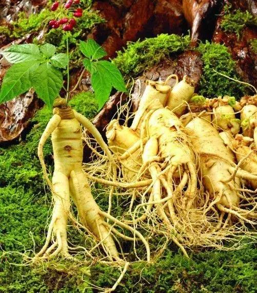 一文读懂差异,一文看懂人体学问