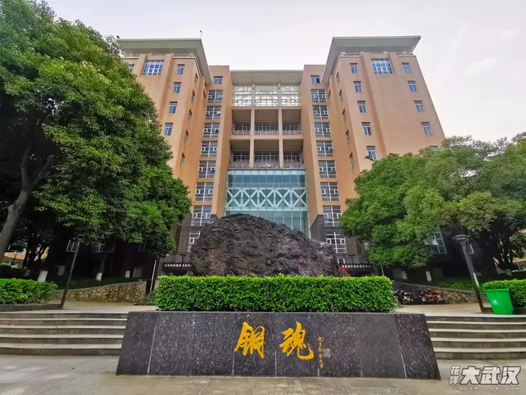 武汉科技大学的机械学院,武汉科技大学医学院和临床学院