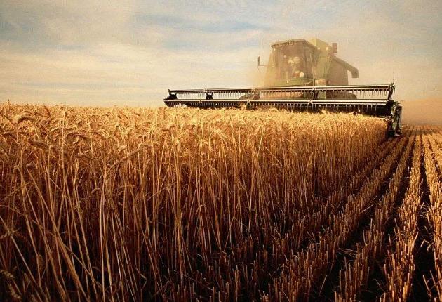 农业合作社会计账务做什么科目,农业合作社会计记账