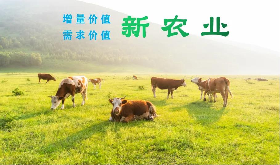 如何提升自己的人性思维,九条人性思维法则