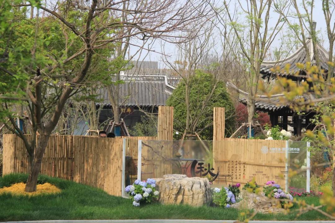 花展的意义,花展布展情况介绍