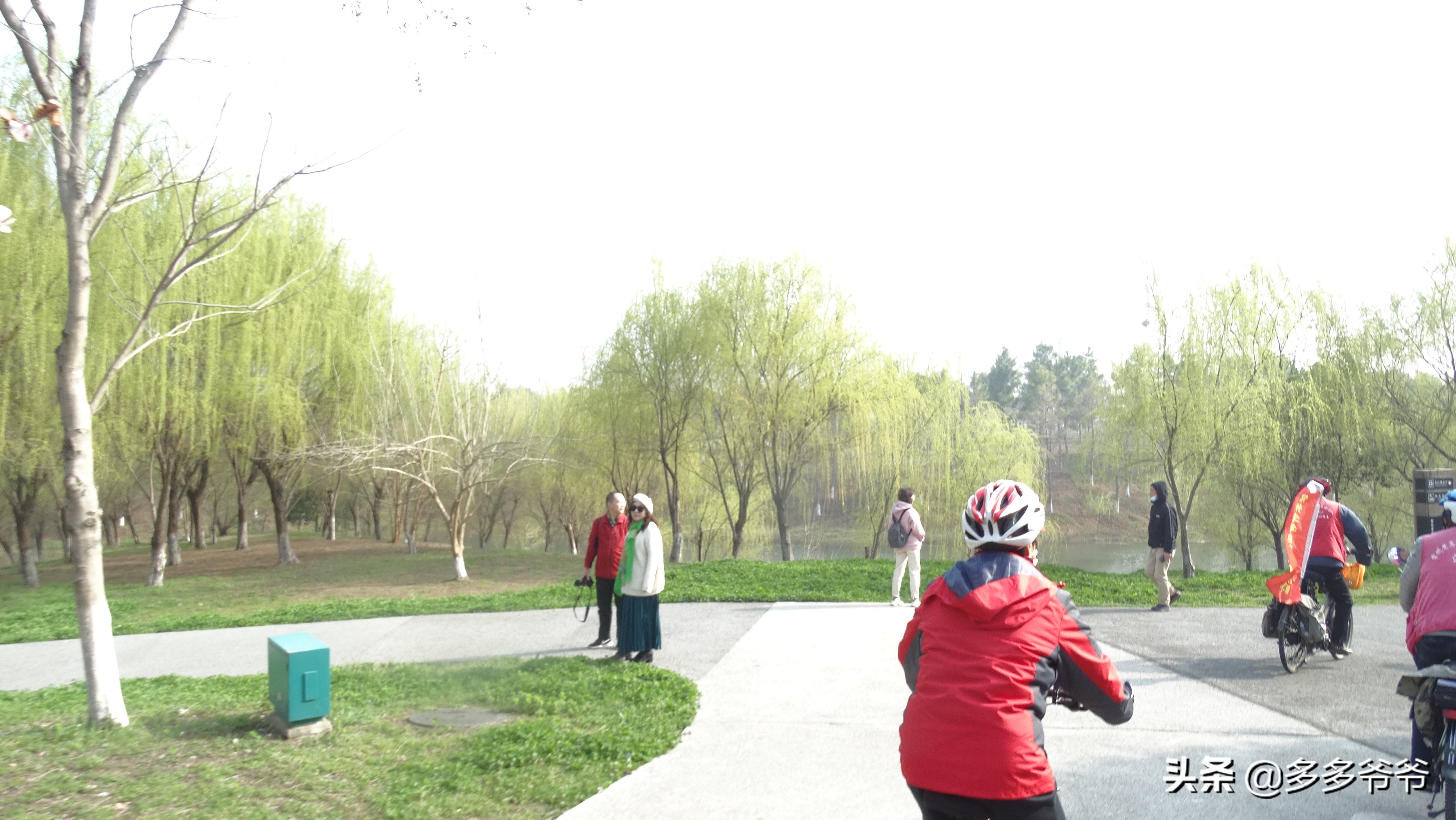 常州赏花自驾,常州附近有没有好玩的公园免费的