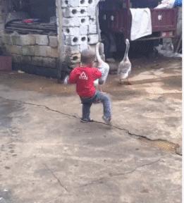 搞笑gif你们这些城里人太会玩了,搞笑gif逗比的世界你永远理解不了