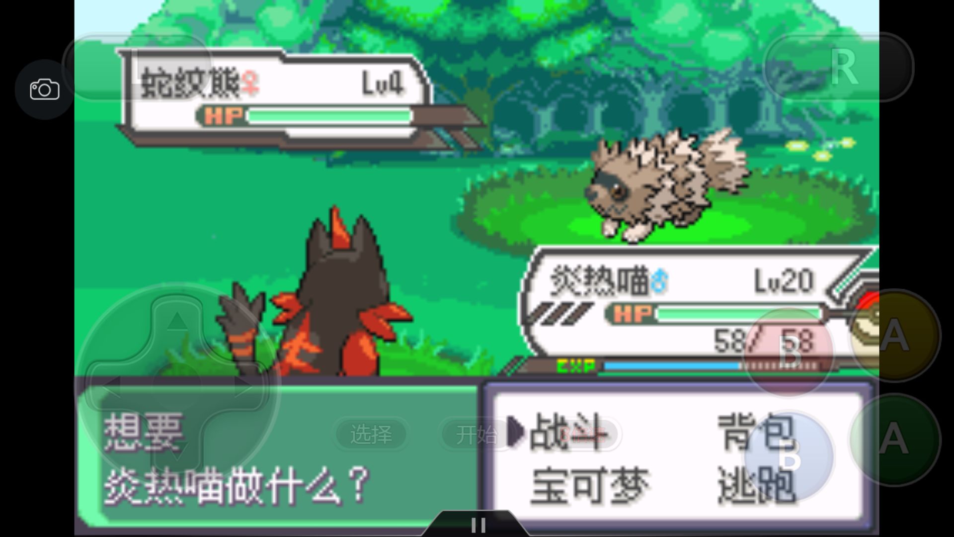 究极绿宝石4小智一周目攻略图文,究极绿宝石5.3如何才算完成一周目