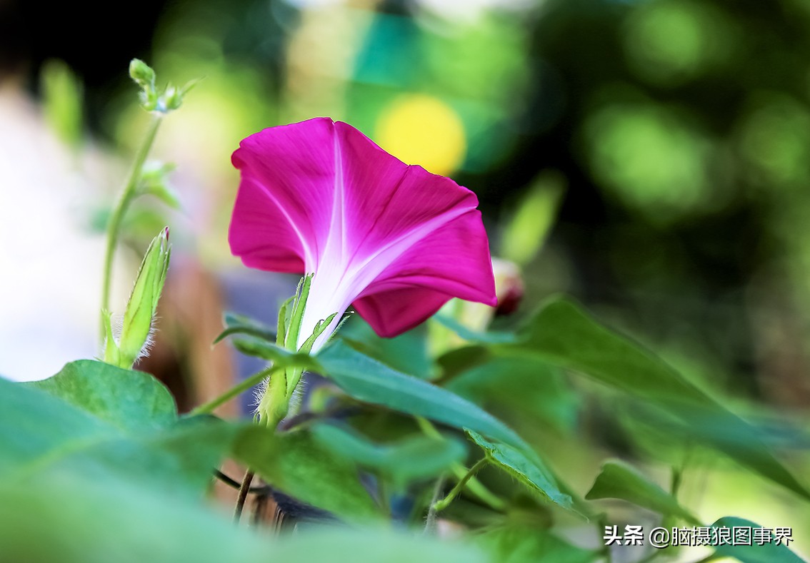 佳能6d现在有新的吗,佳能6d相机寿命多少时间