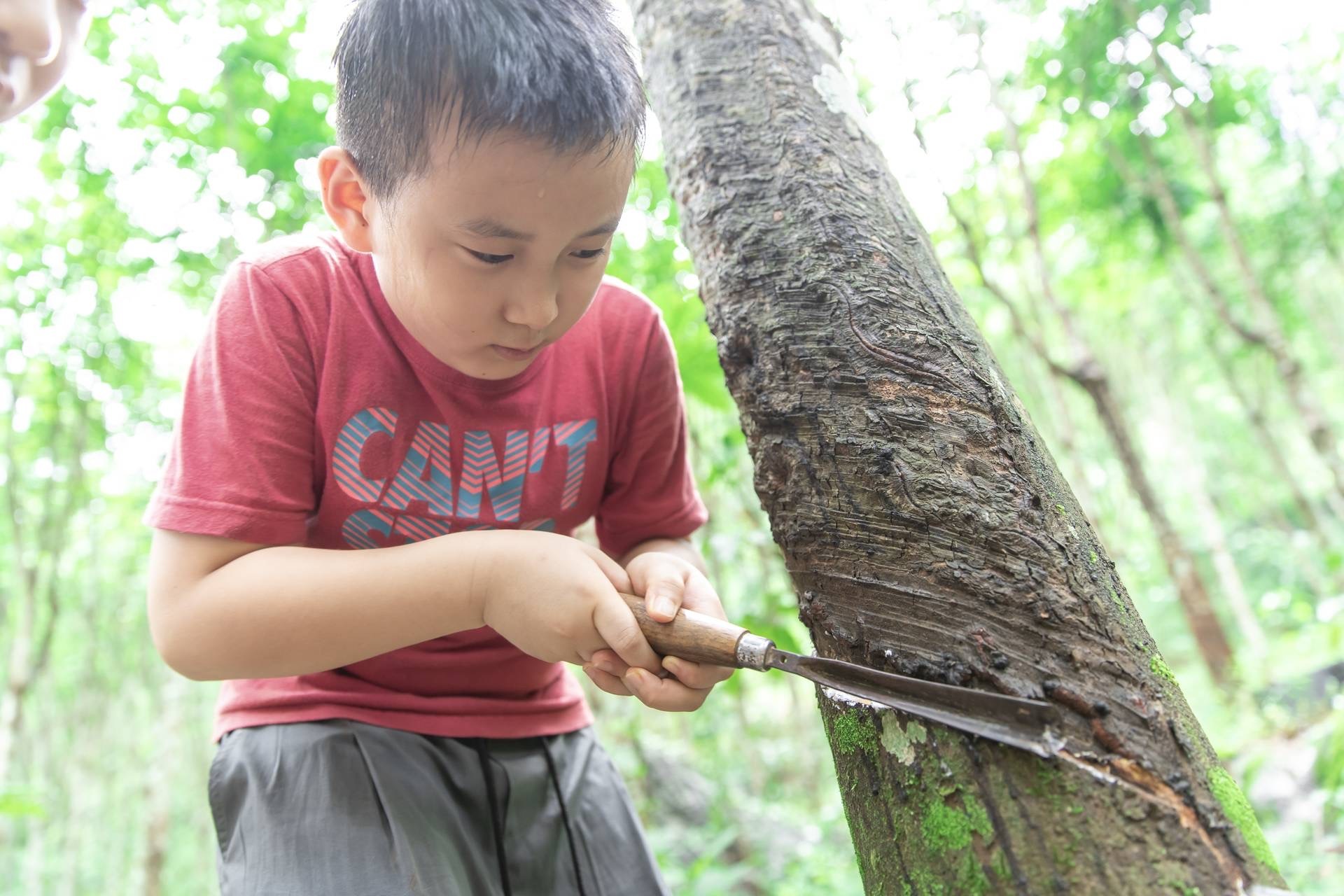 四季露营抖音团购套餐,星空营地抖音团购券