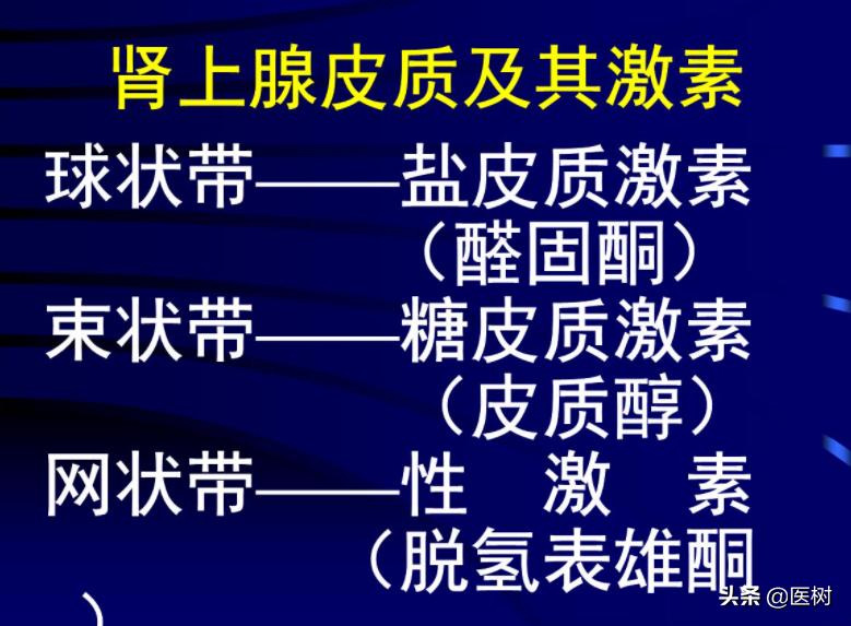 肾上腺皮质激素减退皮肤表现,肾上腺皮质功能减退症诊断标准