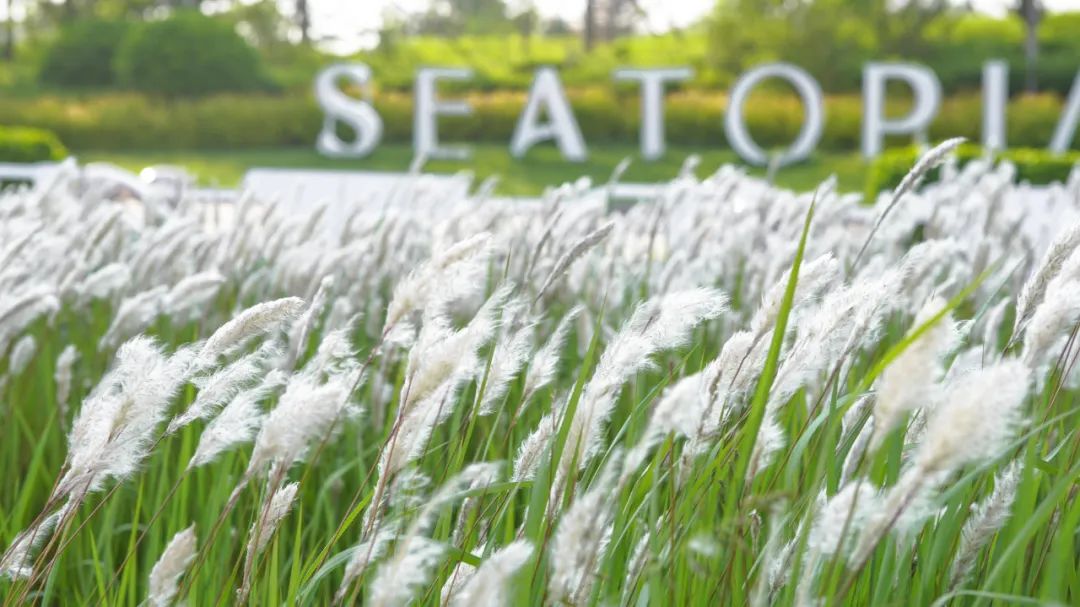 在北京中产是什么样子的,中产阶级对于中国经济发展的影响