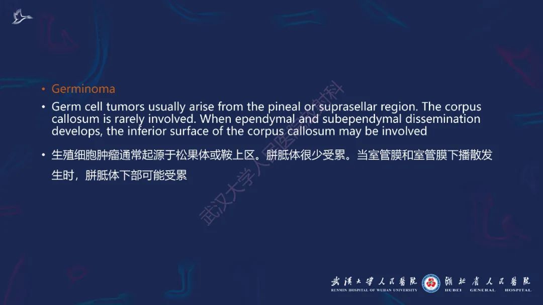 胼胝体肿瘤影像鉴别,胼胝体病变影像诊断