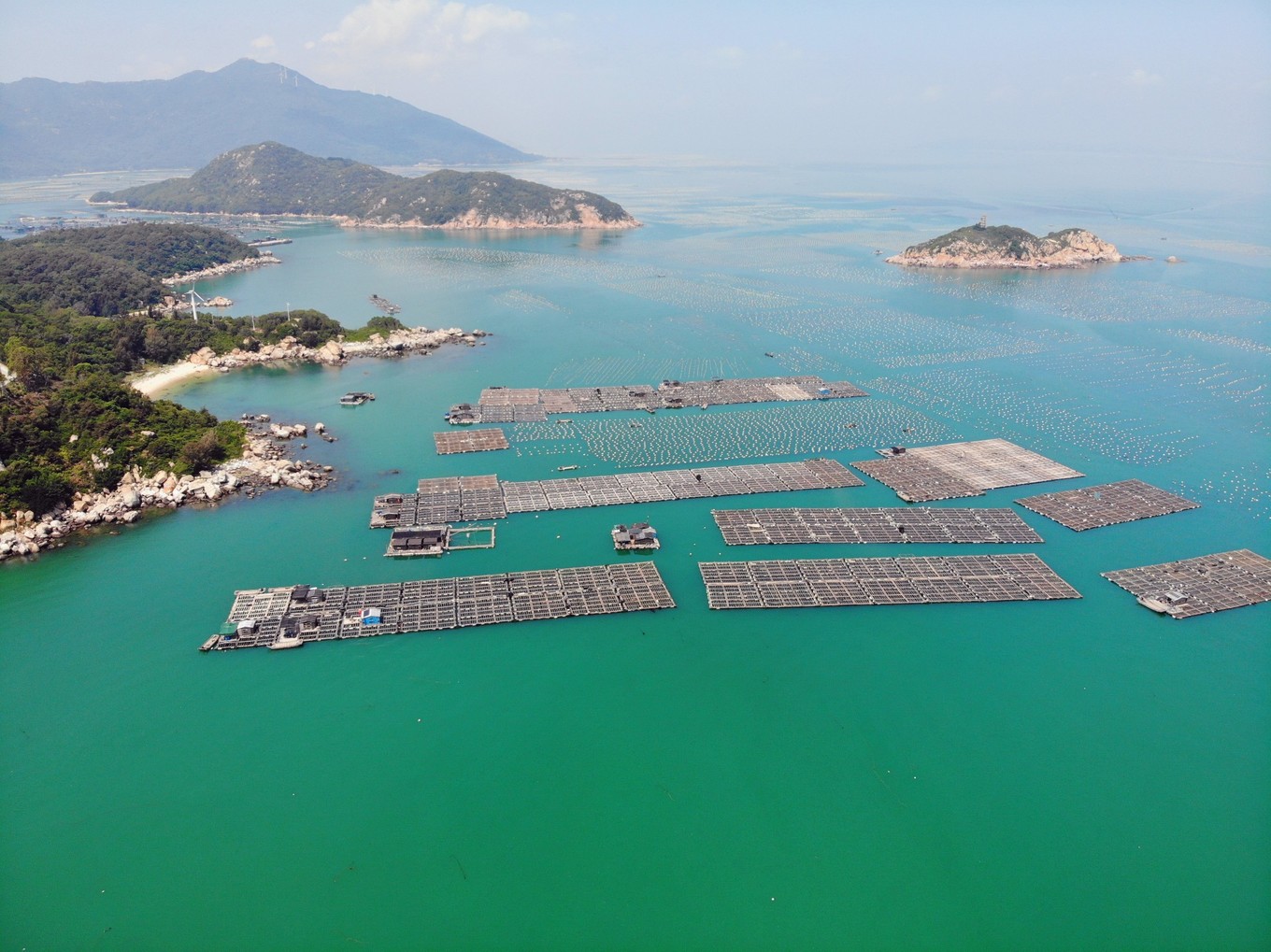 南澳岛看海完整版,南澳岛看海解读