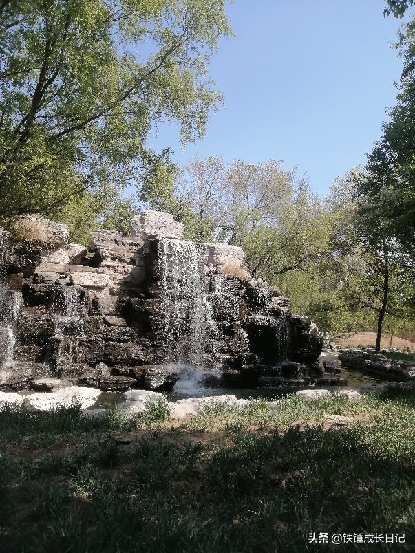 北京市延庆野生动物园,北京野生动物园攻略一日游路线图