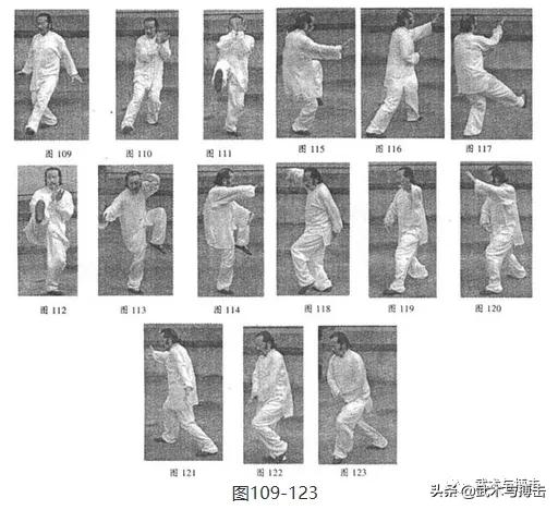 纯阳拳龙心掌视频,纯阳八步龙心掌