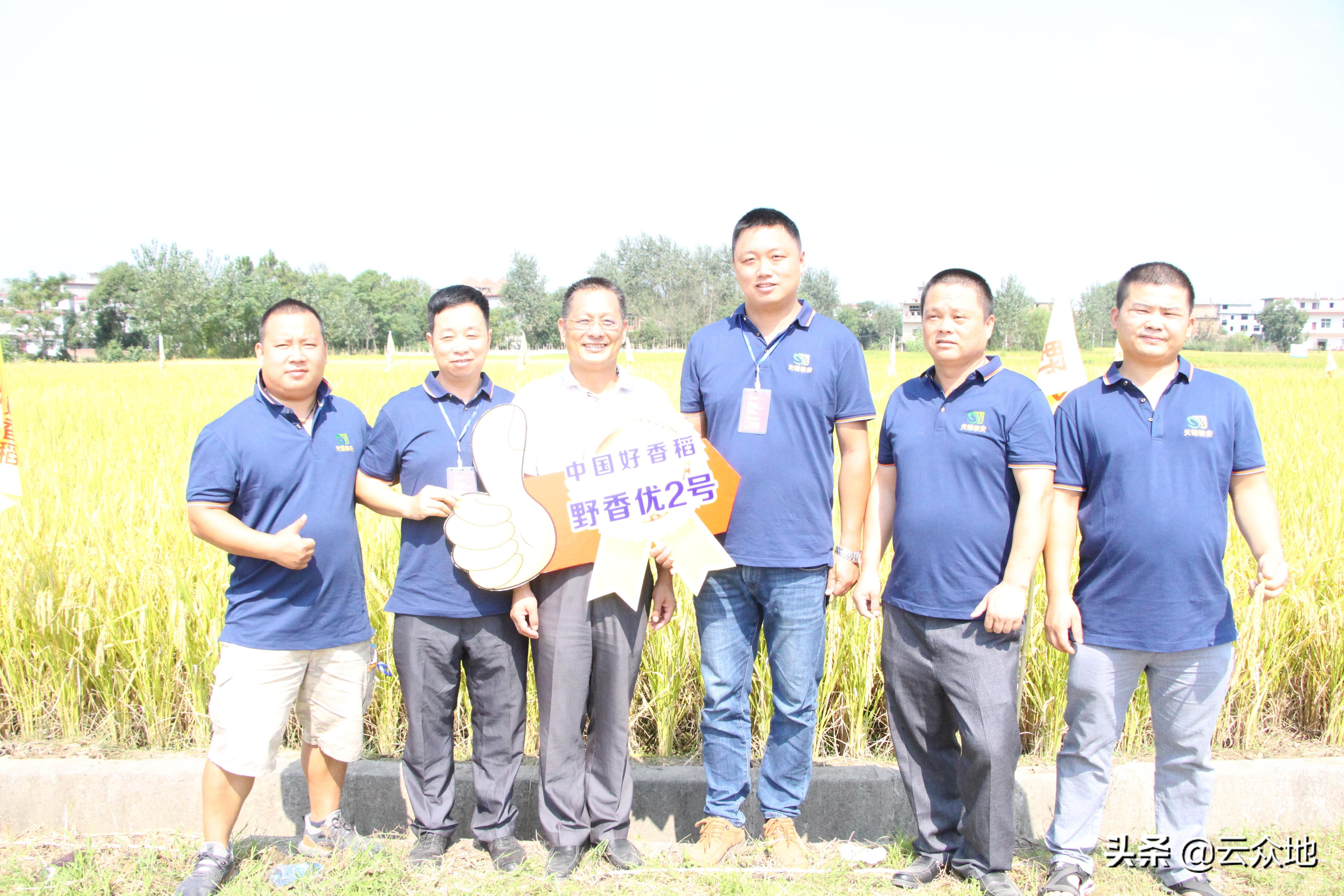 优质稻种标准和要求,种优质稻比较好点