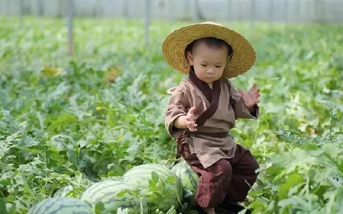 半汤温泉旅游攻略,半汤温泉养生度假区有哪些温泉