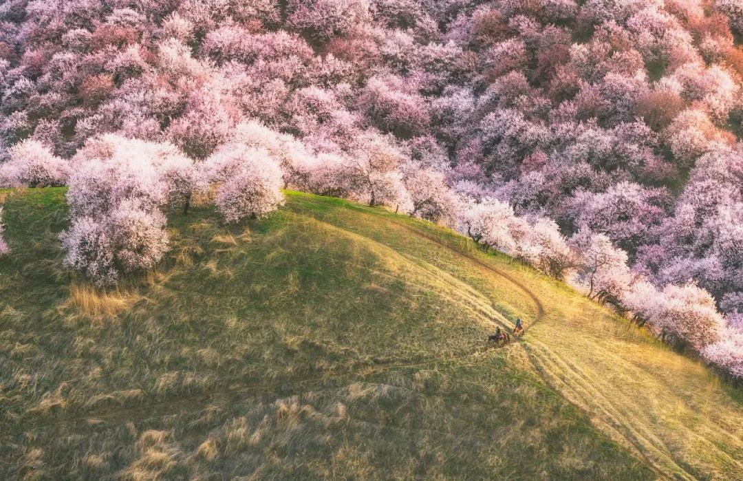 世界十大必去旅游城市,世界十大最值得去的地方