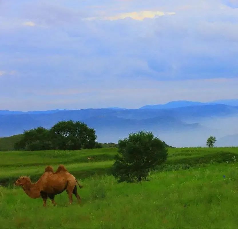 中国天路震撼视频,中国十大惊艳的天路