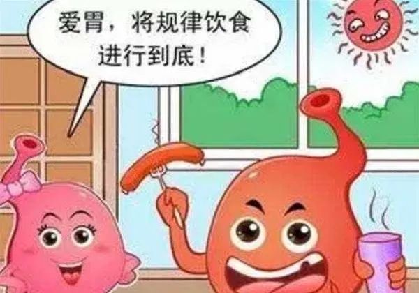 预防胃炎健康宣教,西医怎么治慢性胃炎消化不良