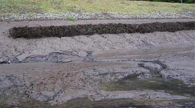 小龙虾亩产利润分析,小龙虾养殖技术一亩地多少利润