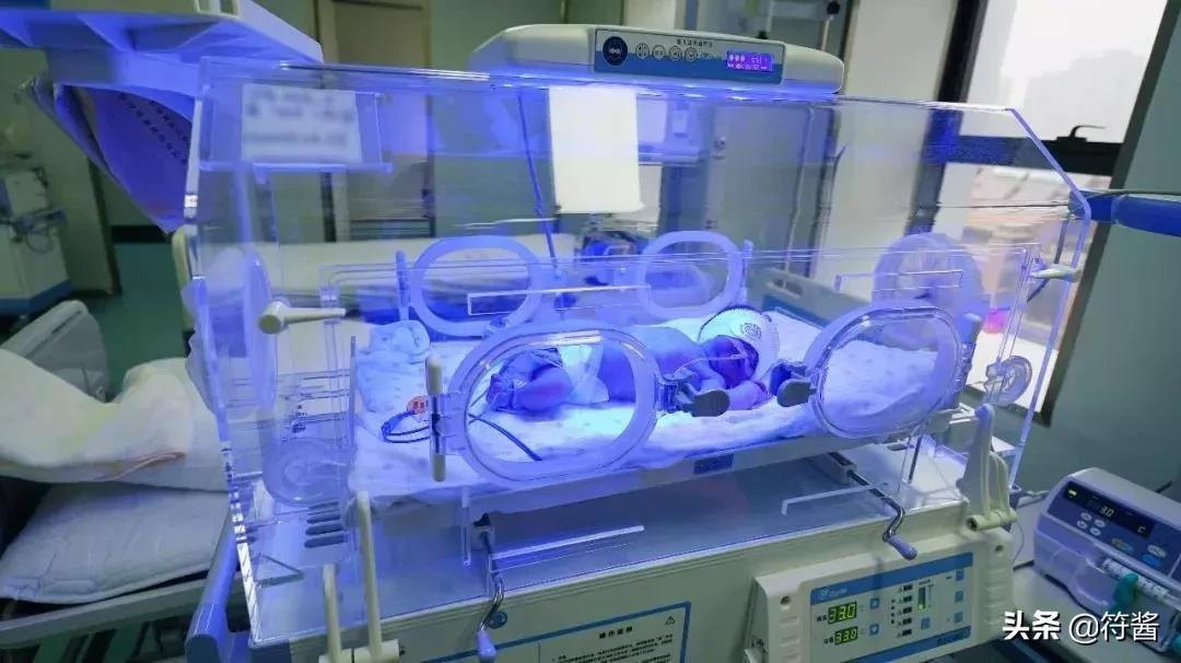 广州前十民办学校学费,广州市民办学校学费排名